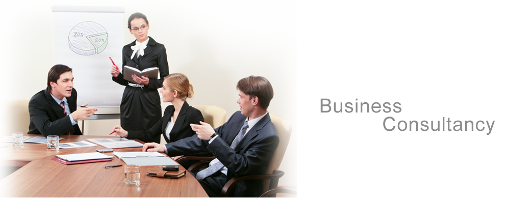 Finding the Right Business Consultant For Your Startup